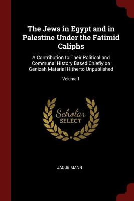 The Jews in Egypt and in Palestine Under the Fatimid Caliphs - Jacob Mann