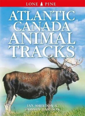 Atlantic Canada Animal Tracks - Ian Sheldon, Tamara Hartson