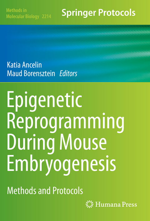Epigenetic Reprogramming During Mouse Embryogenesis - 