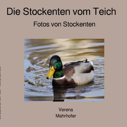 Die Stockenten vom Teich - Verena Mahrhofer