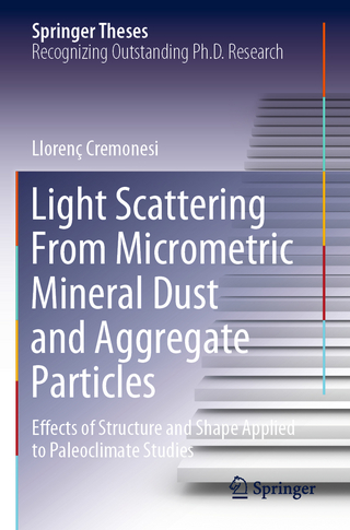Light Scattering From Micrometric Mineral Dust and Aggregate Particles