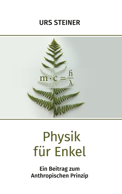 Physik f&uuml;r Enkel - Urs Steiner