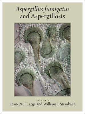Aspergillus fumigatus and Aspergillosis