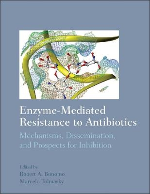 Enzyme–Mediated Resistance to Antibiotics – Mechanisms, Dissemination, and Prospects for Inhibition