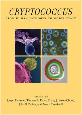 Cryptococcus – From Human Pathogen to Model Yeast