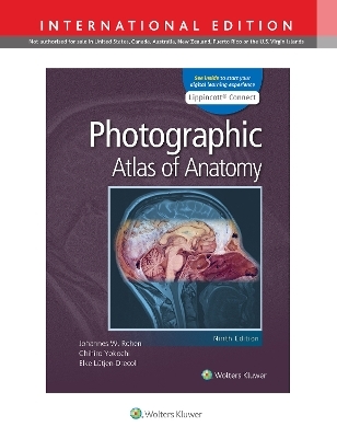 Photographic Atlas of Anatomy - Johannes W. Rohen, Chihiro Yokochi, Elke Lutjen-Drecoll