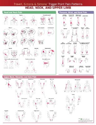 Travell, Simons & Simons&rsquo; Trigger Point Pain Patterns Wall Chart