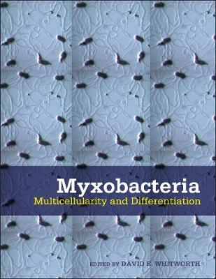 Myxobacteria – Multicellularity and Differentiation