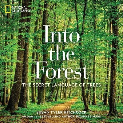Into the Forest - Susan Tyler Hitchcock