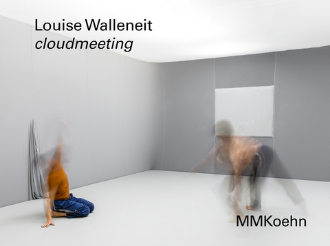 Louise Walleneit: cloudmeeting - Louise Walleneit, Barbara John