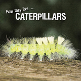 How they live... Caterpillars - David Withrington, Ivan Esenko