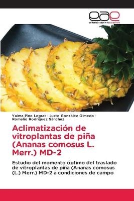 Aclimatización de vitroplantas de piña (Ananas comosus L. Merr.) MD-2